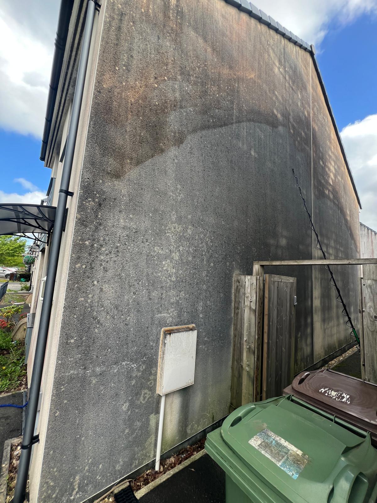 Before: Side wall — heavy algae & lichen removed