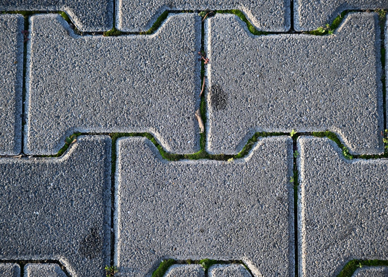 Close-up of block paving with moss and dirt between the joints